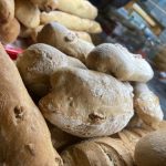 405762573_122120448578053059_6117403719509158485_n 405762573_122120448578053059_6117403719509158485_n